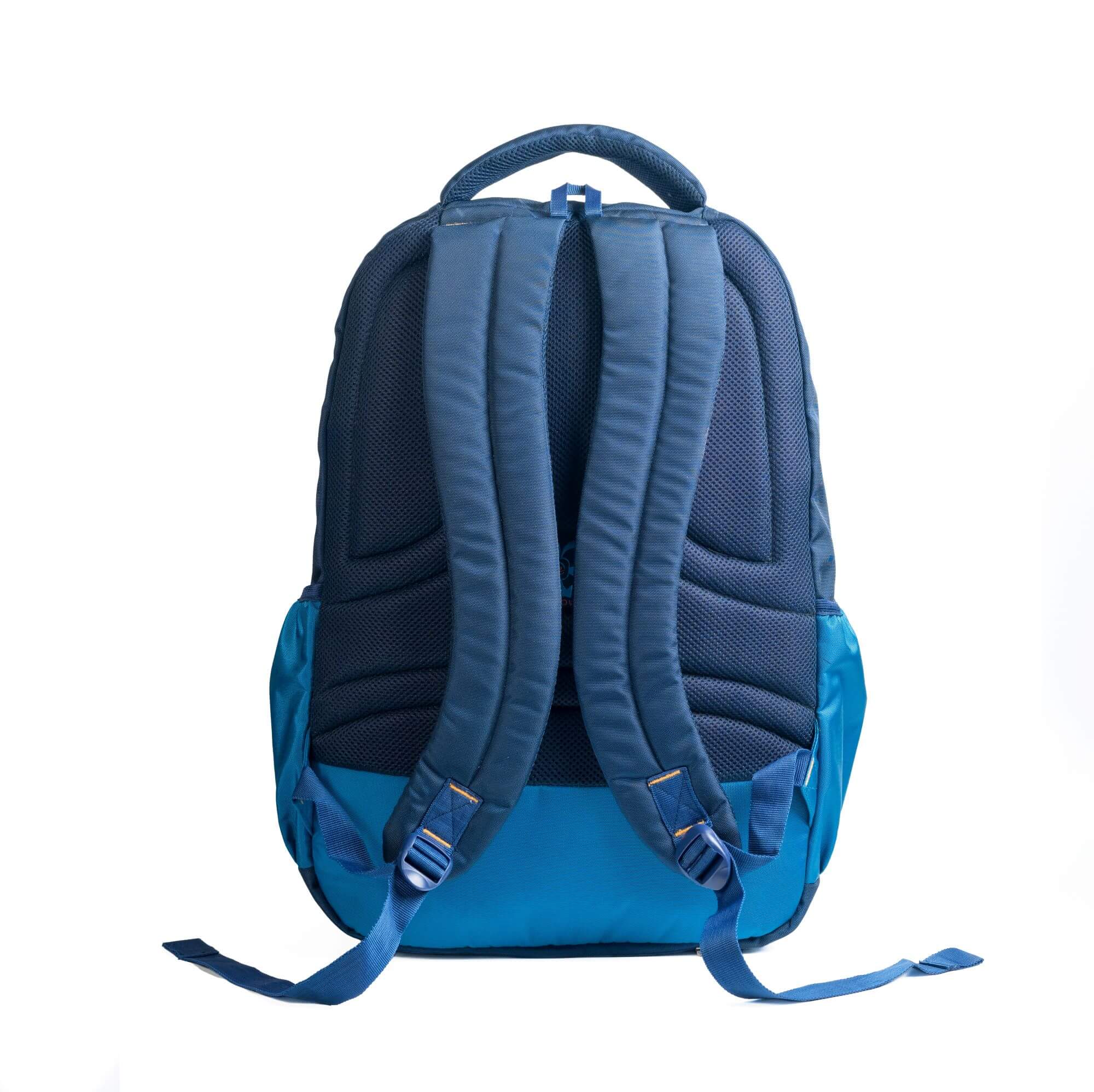 Navy Blue  Turquoise Blue