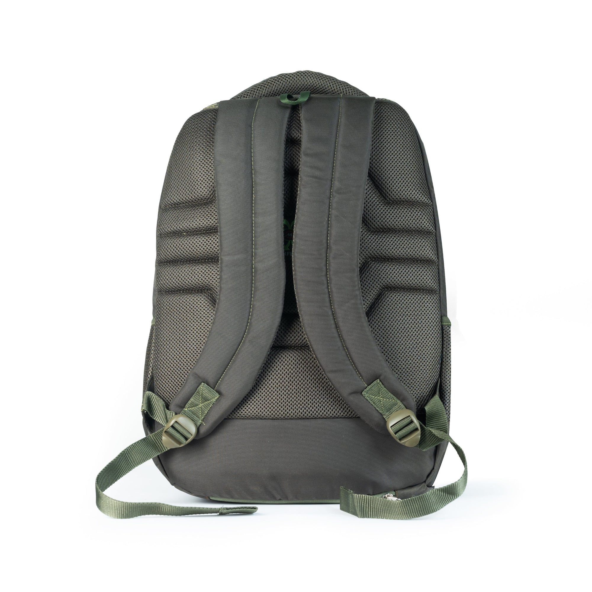 #colour_olive green