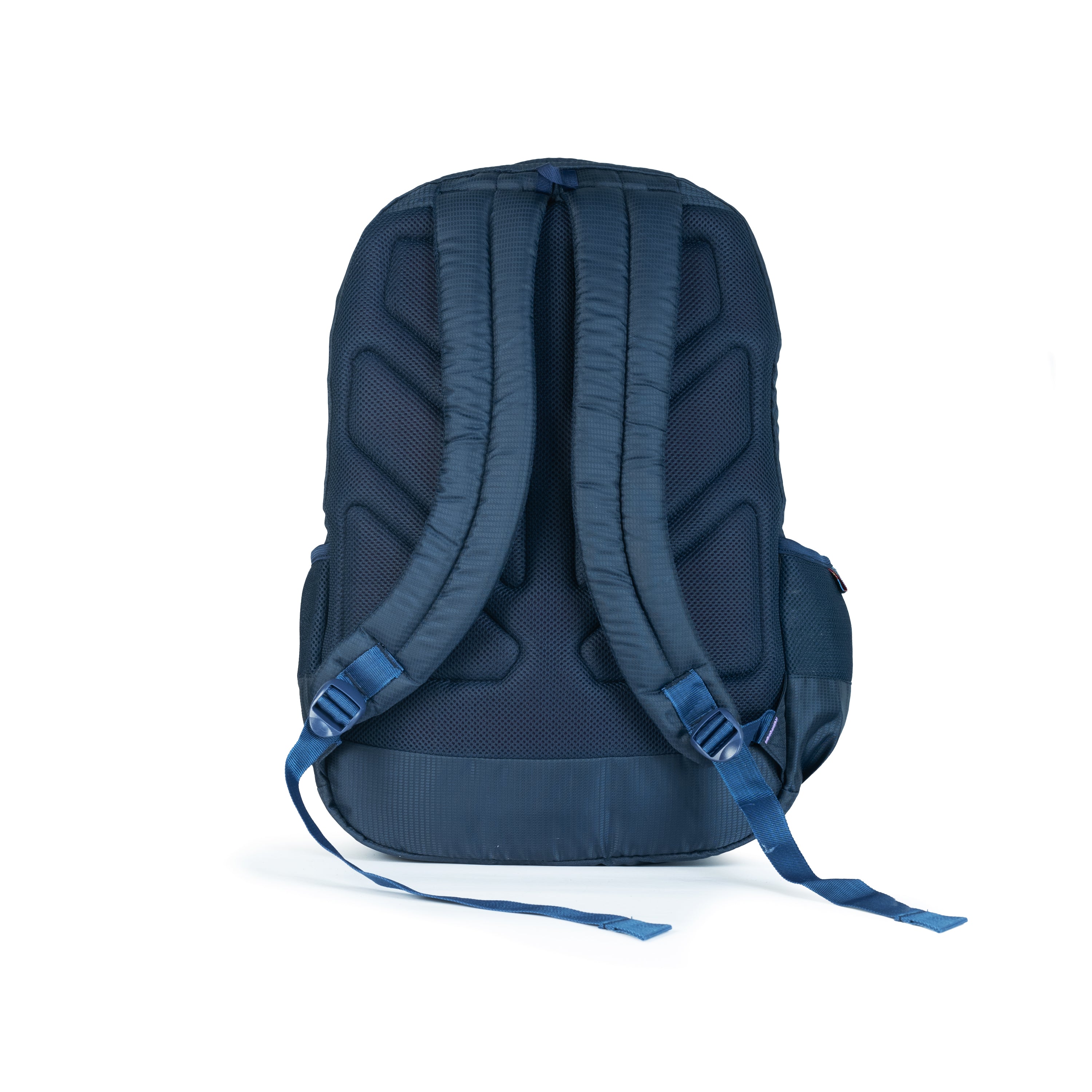 #colour_navy blue & light violet